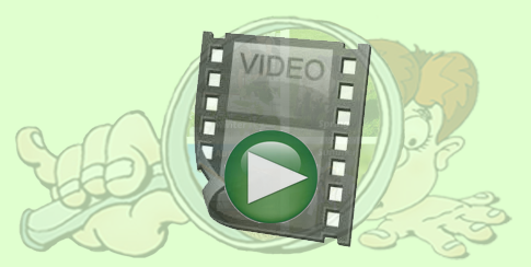 Video Player